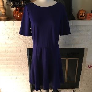 Purple Jersey Style Dress by Bar iii in a size XL